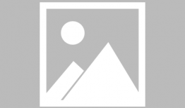 吃瓜娱乐圈番茄,番茄带你领略明星们的酸甜苦辣