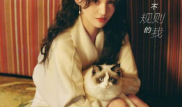 魔幻娱乐圈吃瓜,魔幻瓜田里的明星秘闻